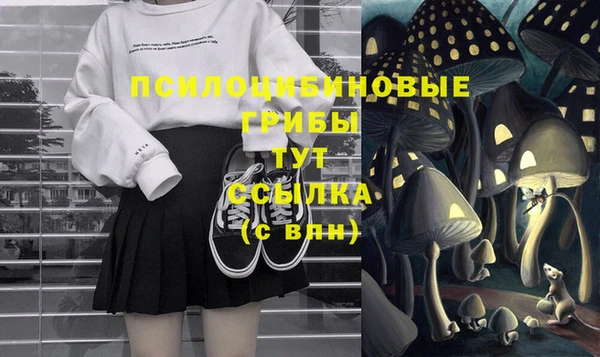 метадон Михайловск