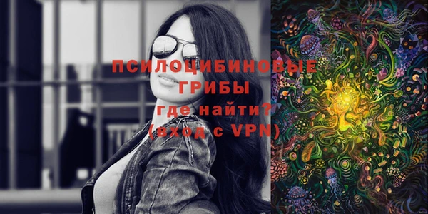 гидра Михайлов