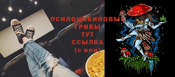 бутират Бежецк
